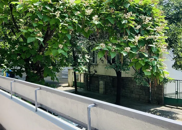 Vintage For 4 Guests & Private Parking 公寓 普罗夫迪夫