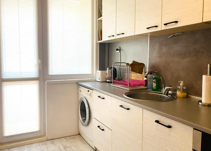 Vintage For 4 Guests & Private Parking 公寓 普罗夫迪夫